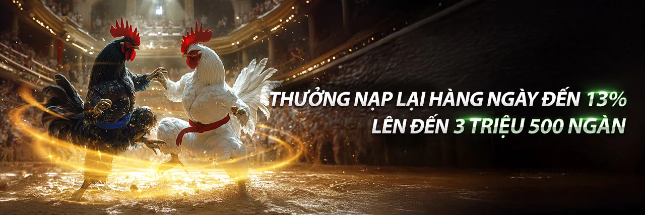 Các Chương Trình Khuyến Mãi Mới Nhất của newba5 win